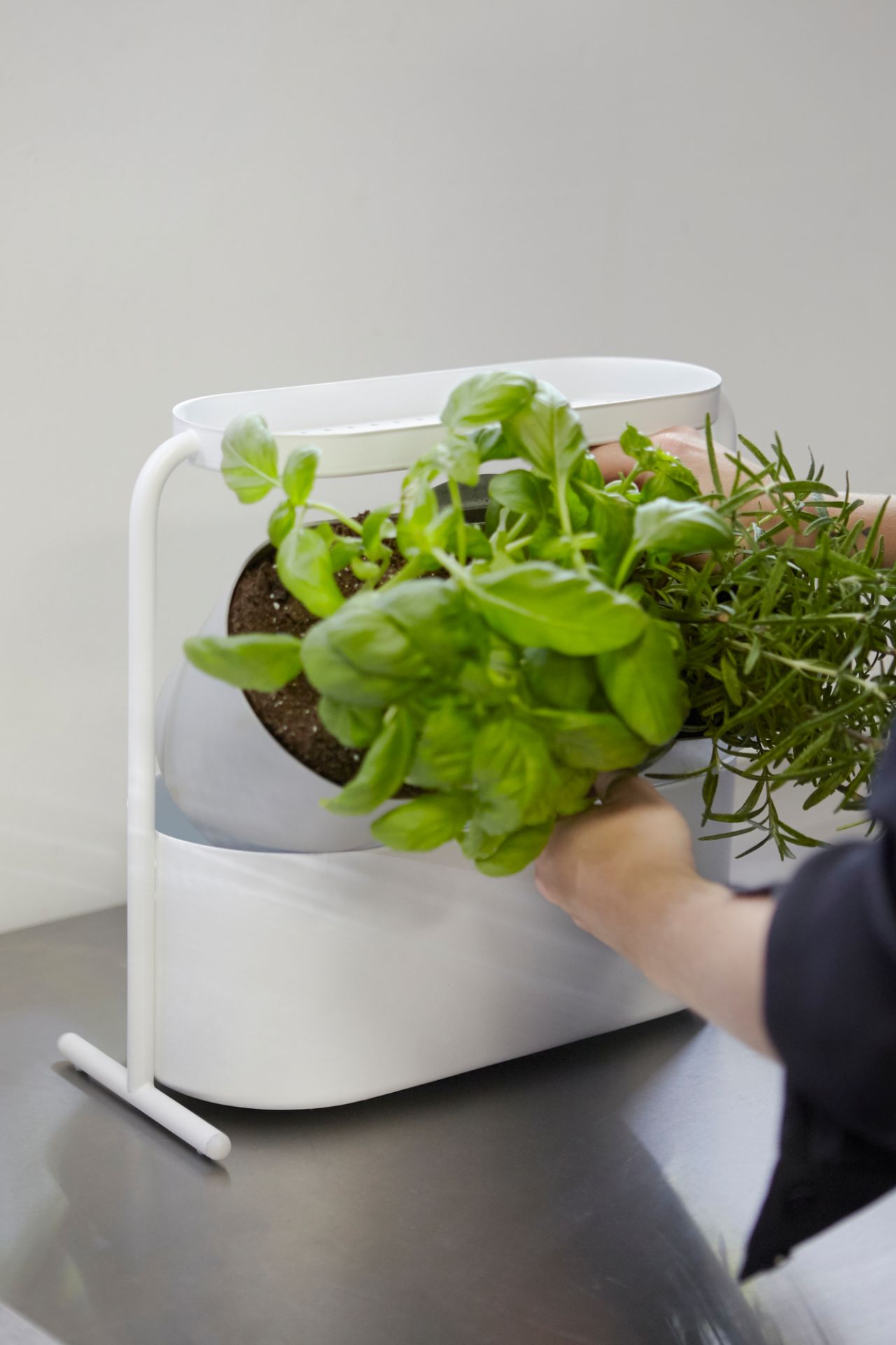 Giardino Herbal pot Umbra SINGLE PIECES