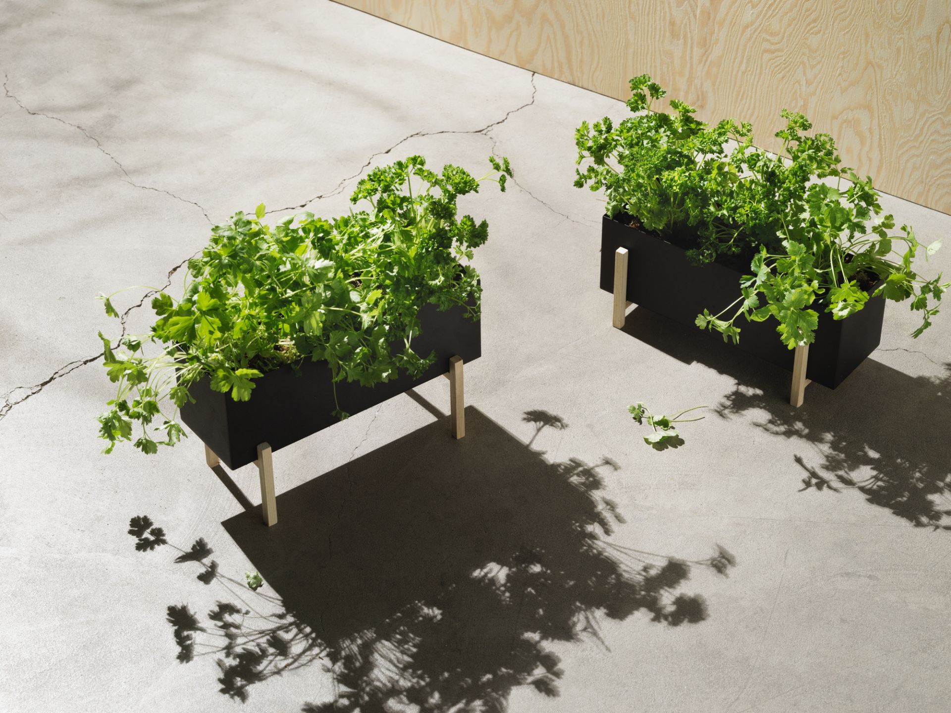 Botanic herb box Design House Stockholm SINGLE PIECES