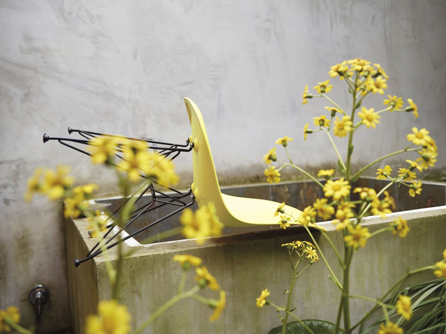 Eames Fibreglass Chair DSR Chair Vitra