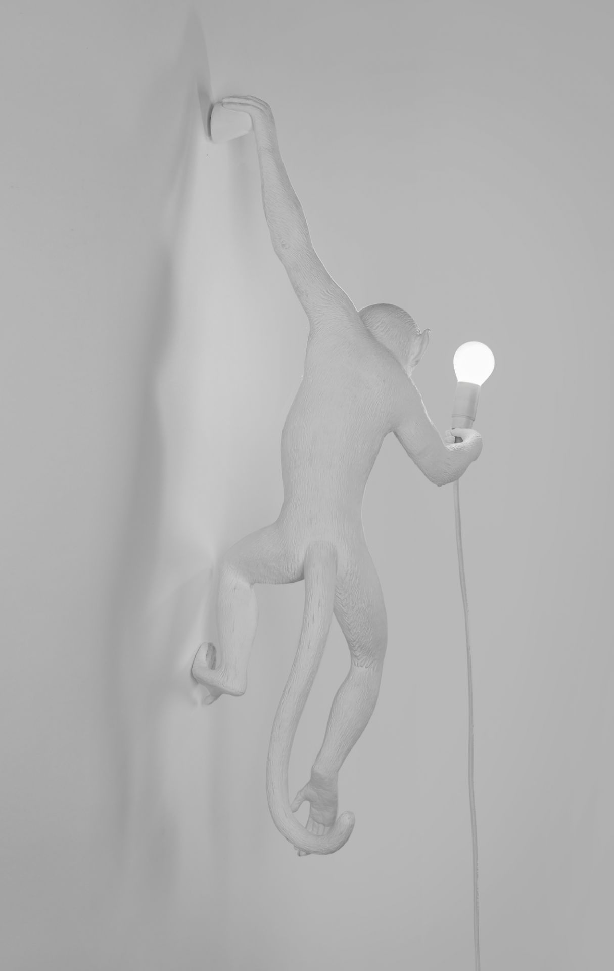 Monkey Lamp Wall Lamp Outdoor left Seletti SINGLE PIECES