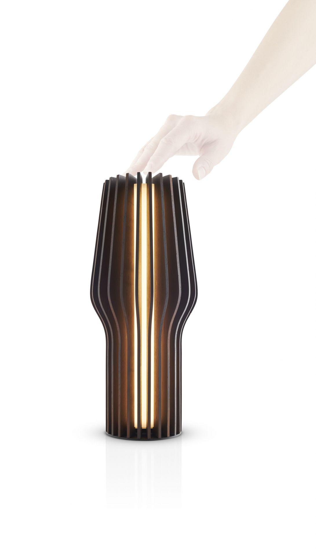 Radiant Cordless LED Light smoked Oak Eva Solo SINGLE PIECES