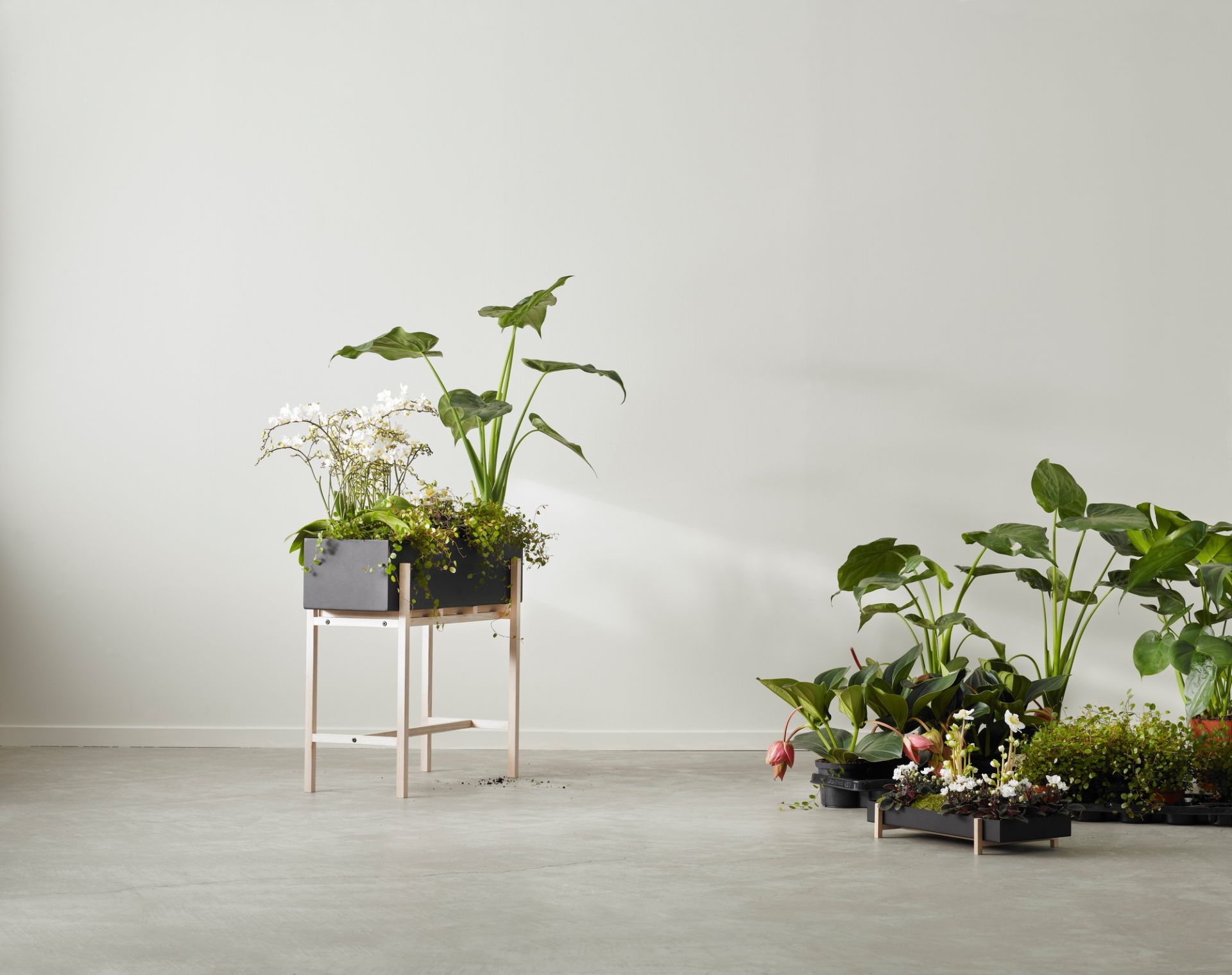 Botanic Flower Stand Big Design House Stockholm SINGLE PIECES