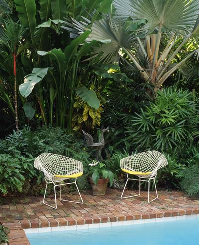 Diamond Armchair Knoll International - QUICK SHIP