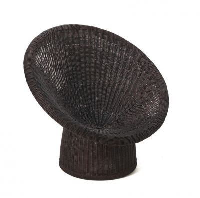 E 10 / E10 Rattan armchair Richard Lampert