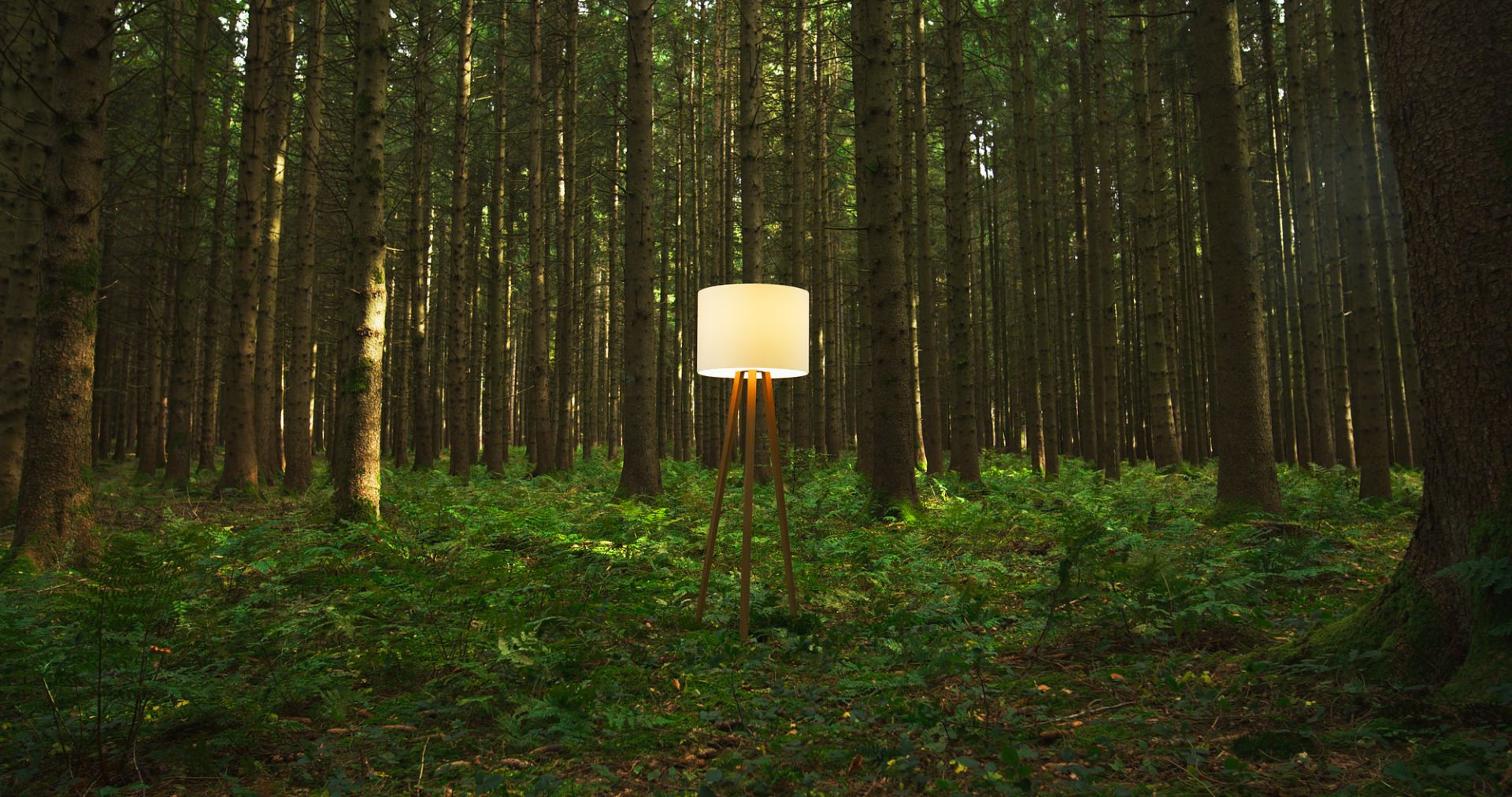 Luca Stand high floor lamp natural oak / white Maigrau