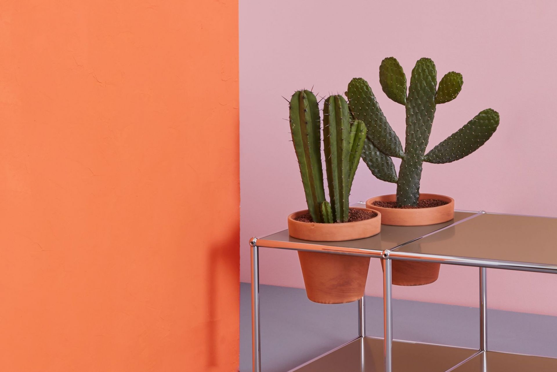 Plant worlds Side table USM Haller Golden yellow