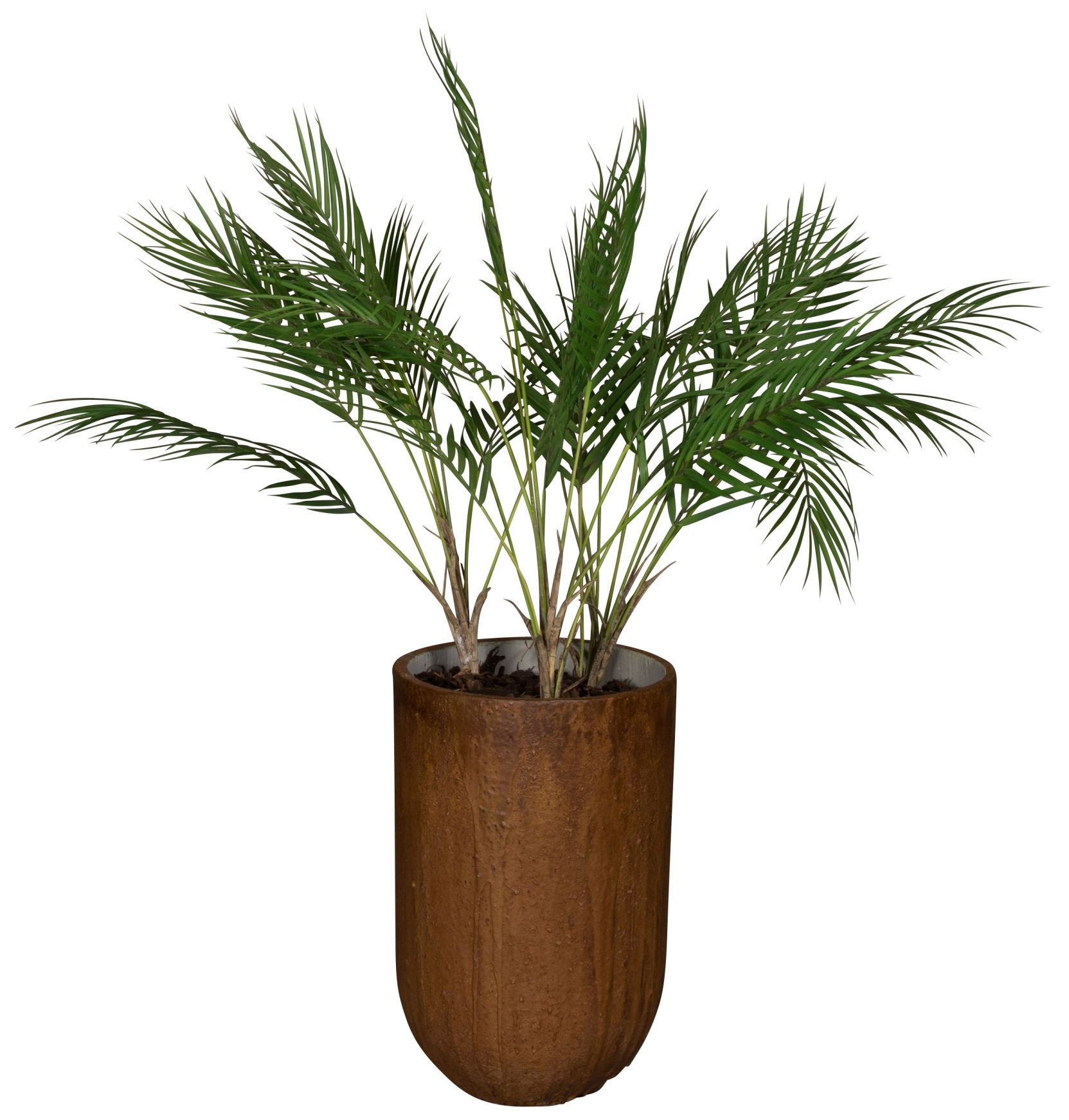 Medewi Palm (Palm) Artificial Plant Tanaman 