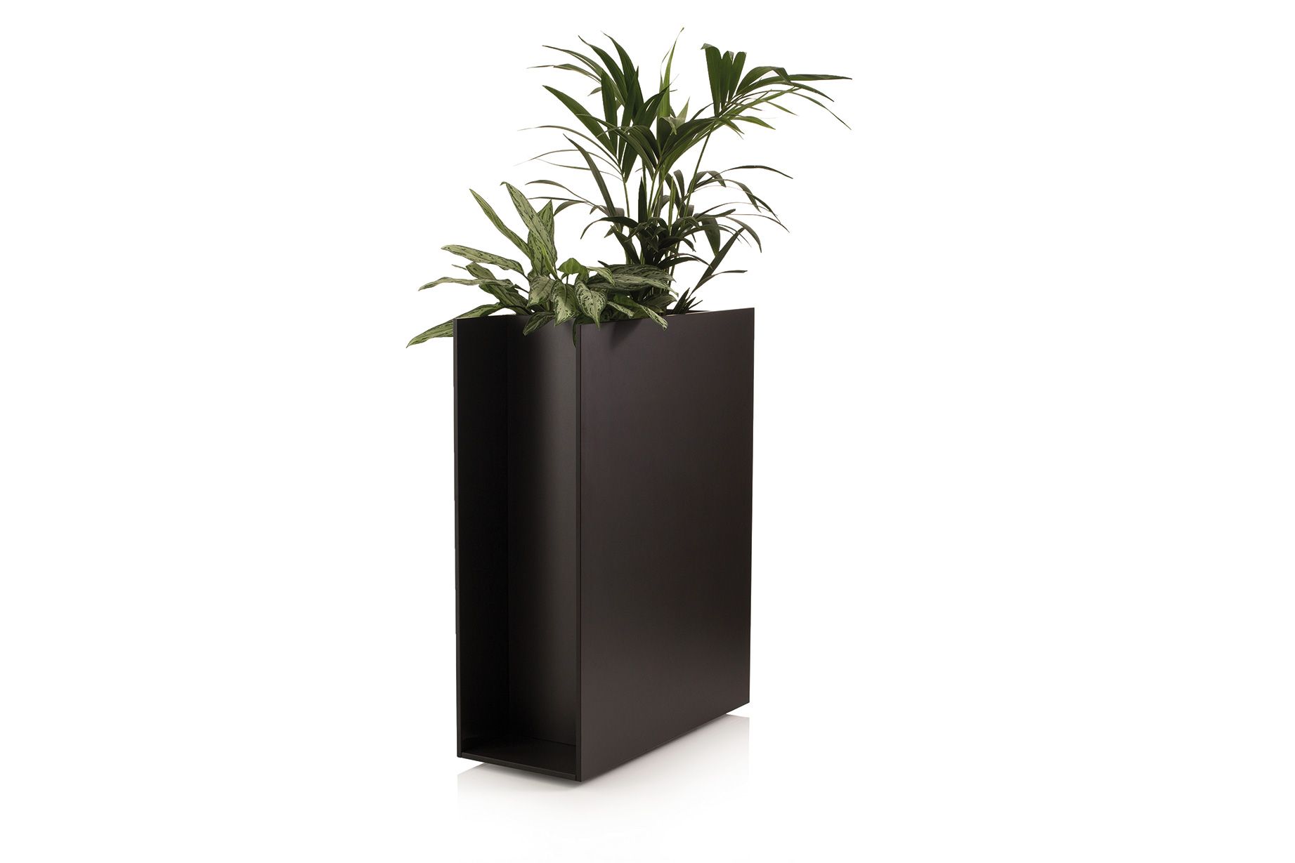 Sotomon Planter Conmoto