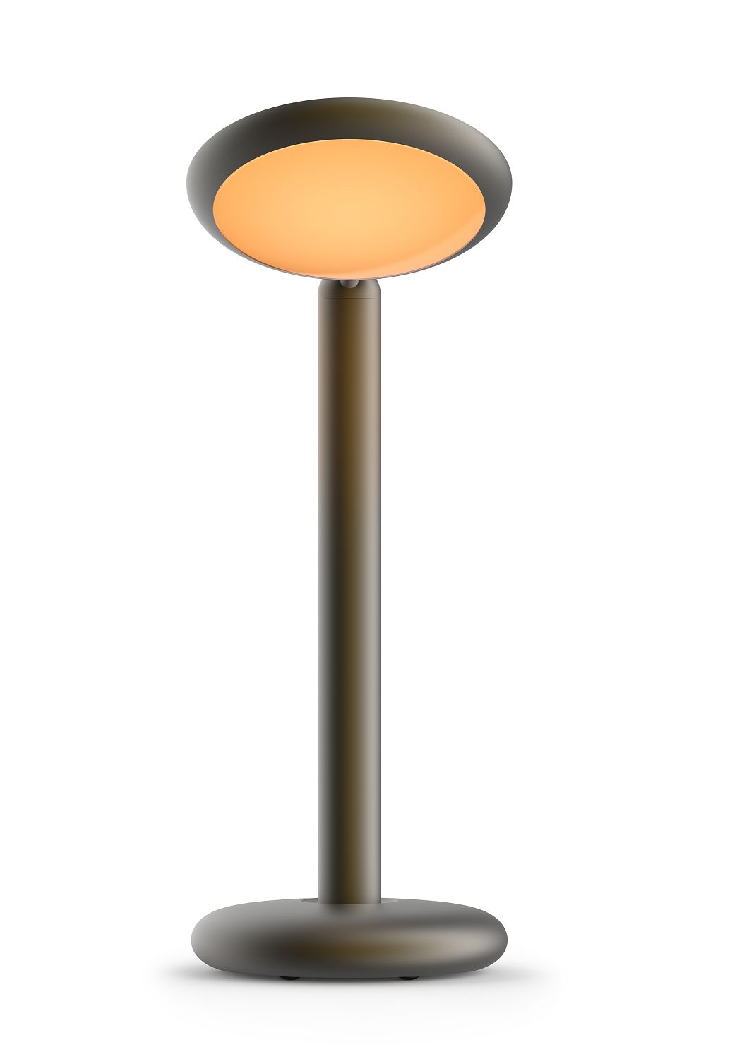 Parrot Table lamp Table lamp Grey