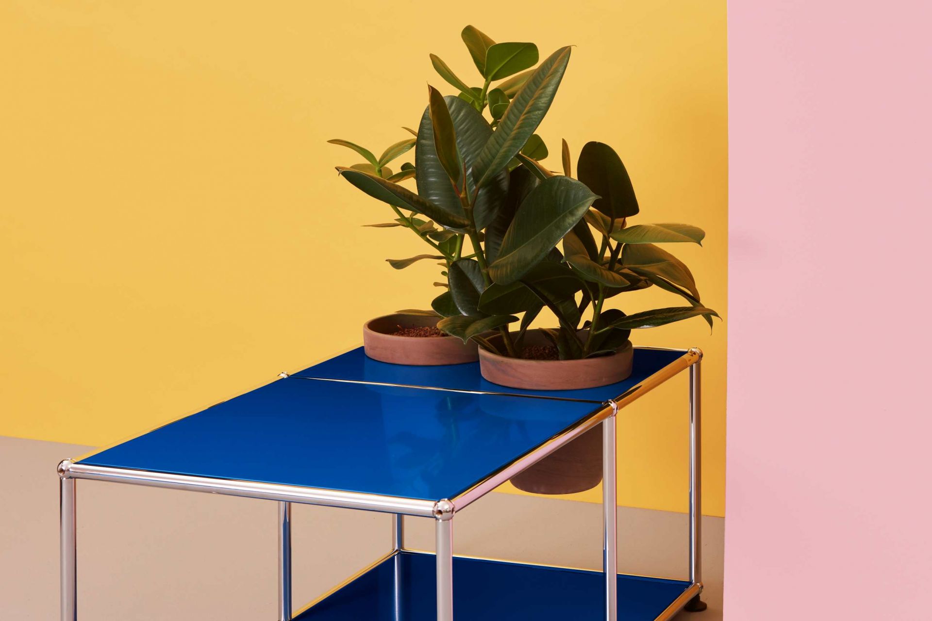 Plant worlds Side table USM Haller Golden yellow