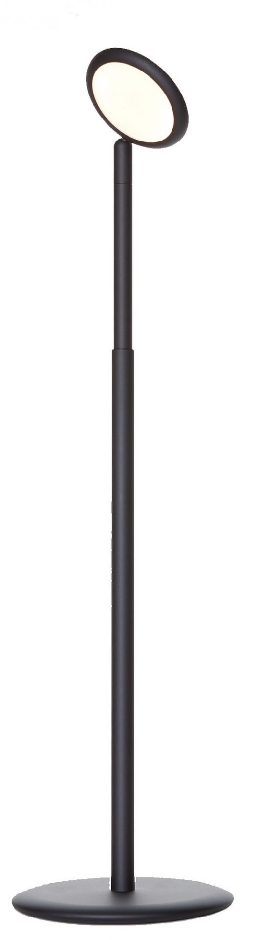 Parrot Floor lamp Grau
