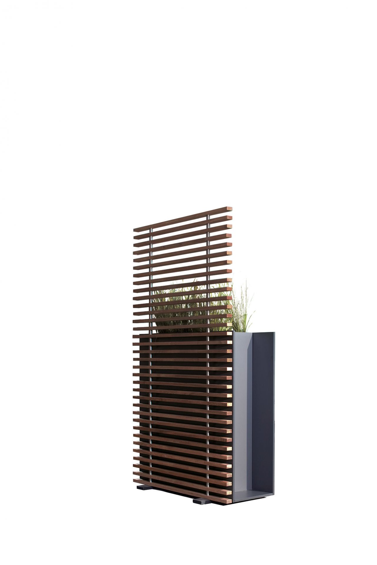 Sotomon Planter Conmoto