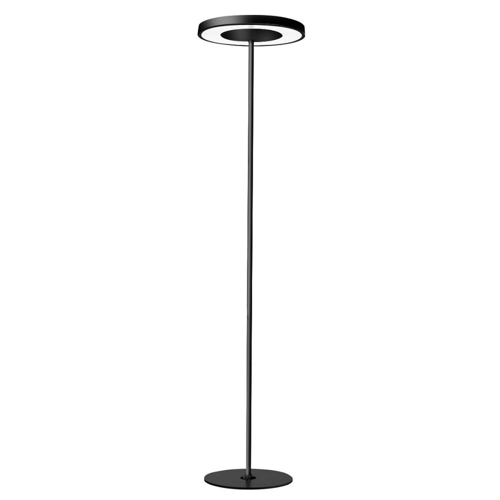 Schwarze Disk Stehleuchte von Belux mit kreisförmigem Leuchtkopf und schlankem Design. Moderne Bodenleuchte.