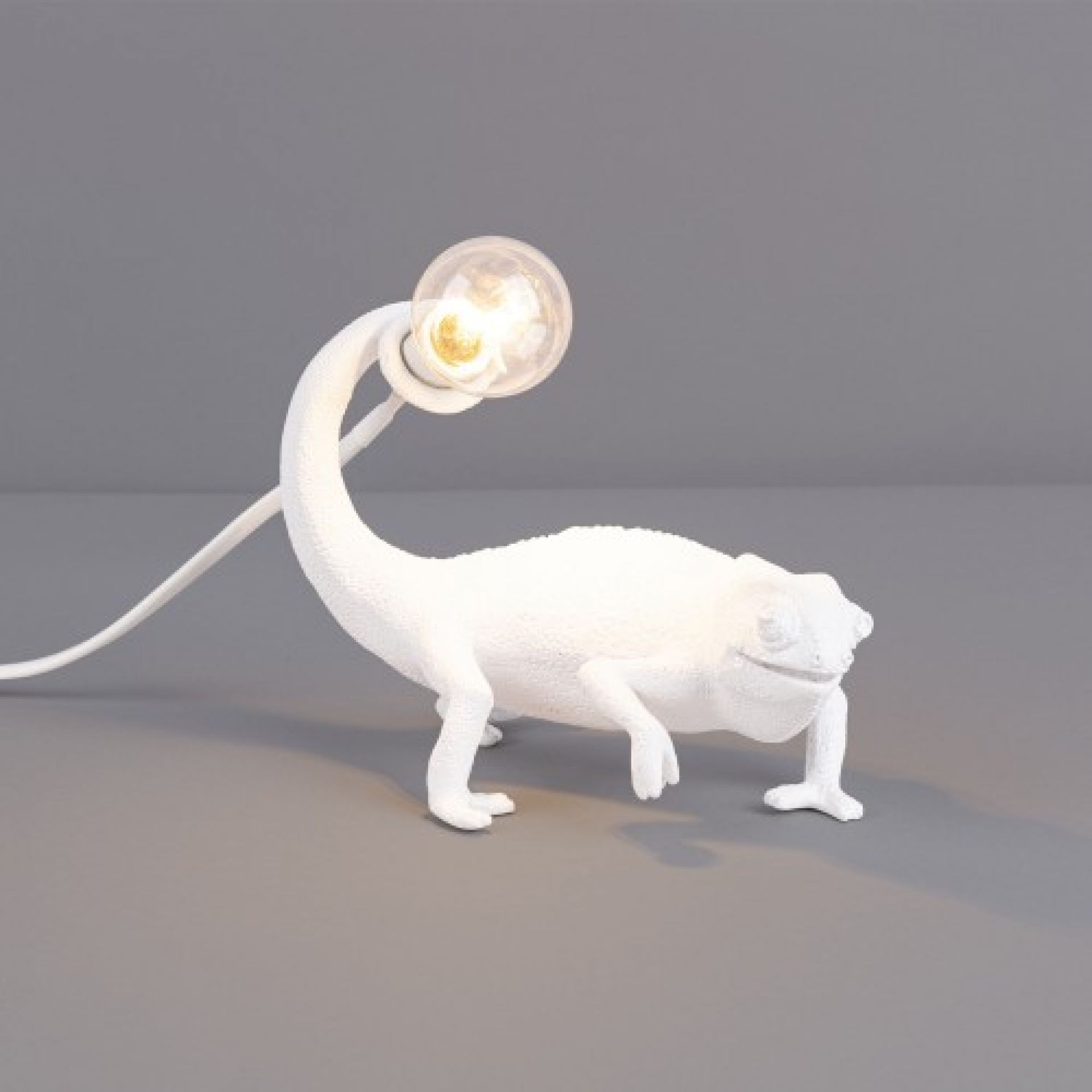 Weerkaatsing Hick verlies Chameleon table lamp Seletti | SELETTI 15090