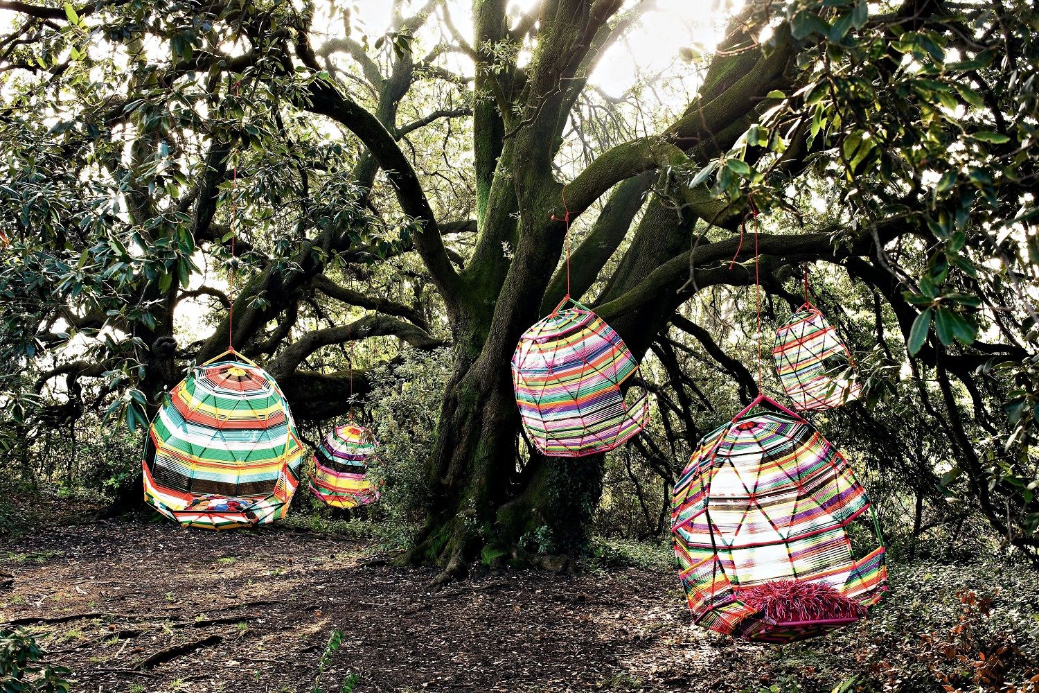 Tropicalia Cocoon Swinging nest Multicolor with 5 pillows Moroso