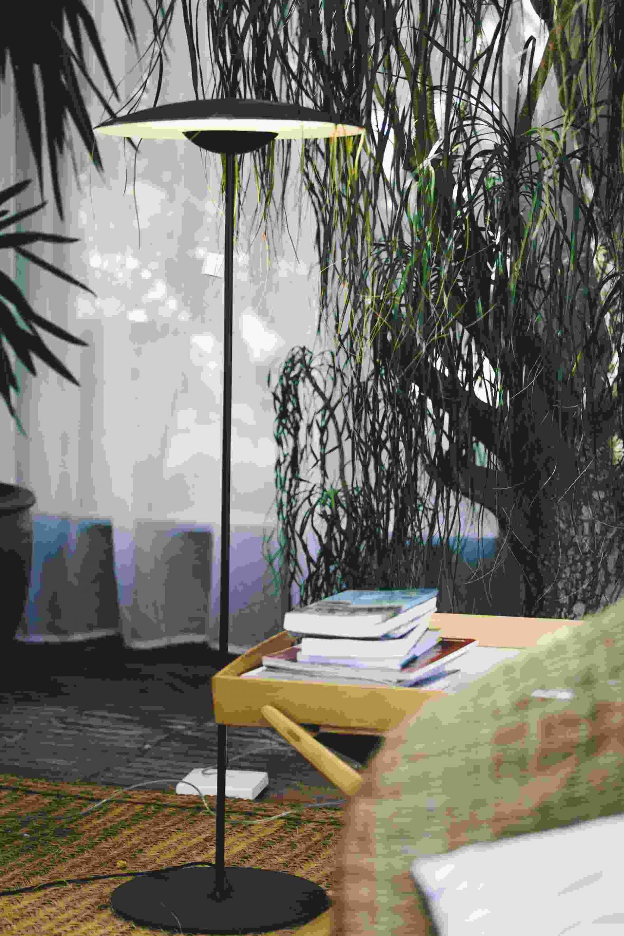 Ginger P LED Floor lamp marset Oak