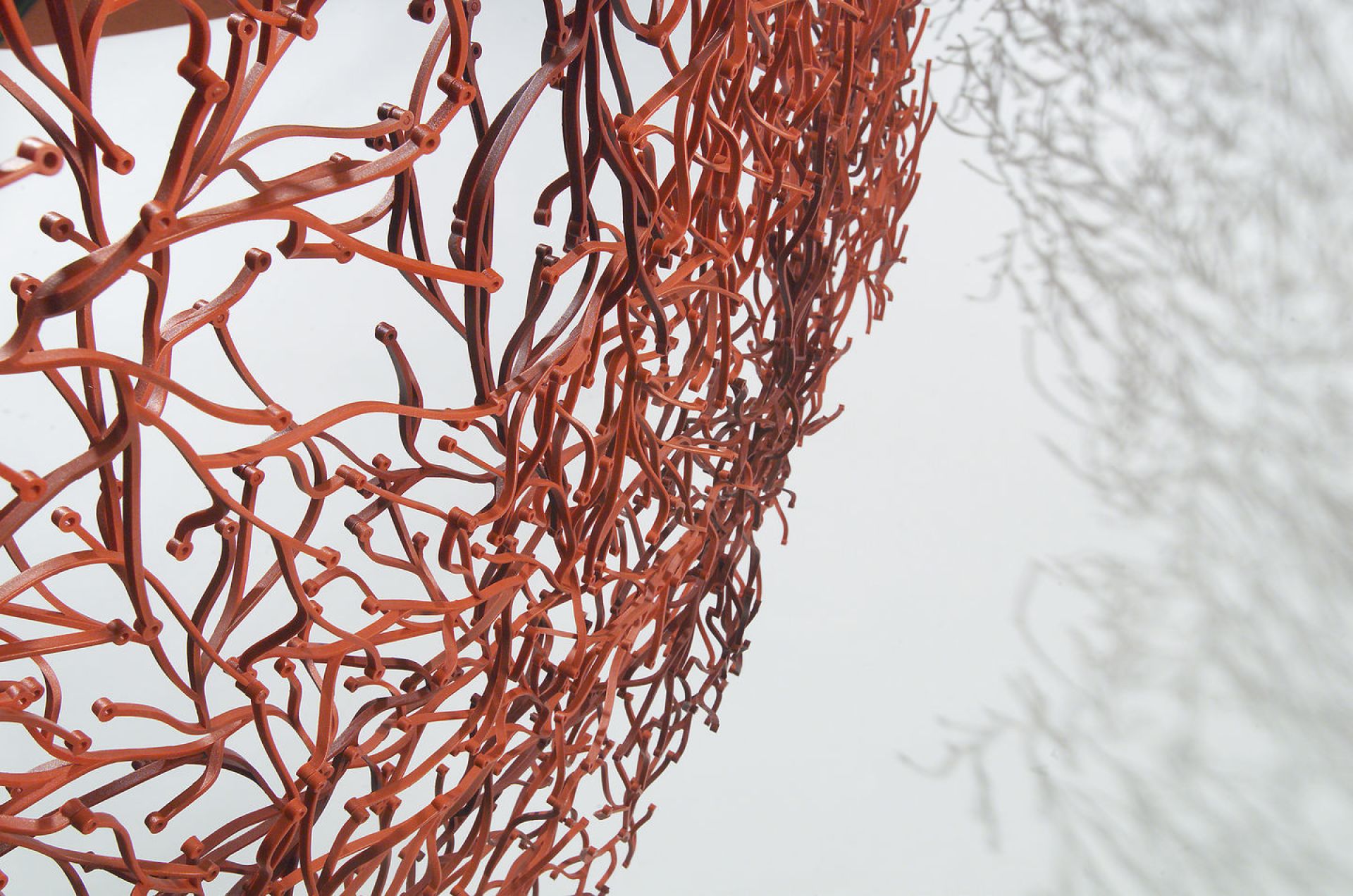 Algue Partition /Algae decorative elements Vitra