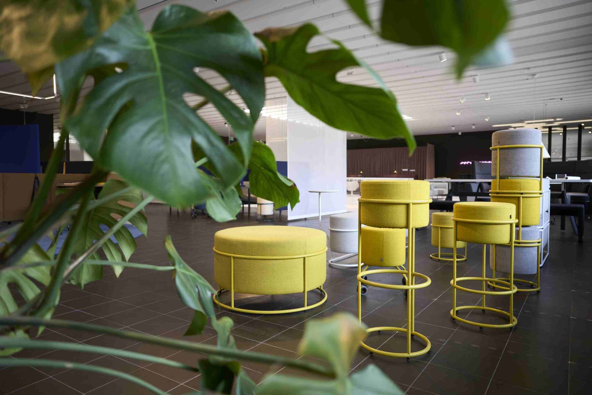 Drop Bar Stool Cor
