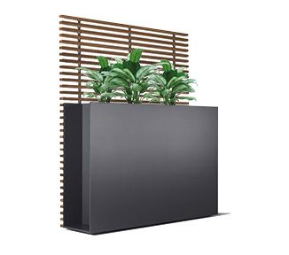 Sotomon Planter Conmoto