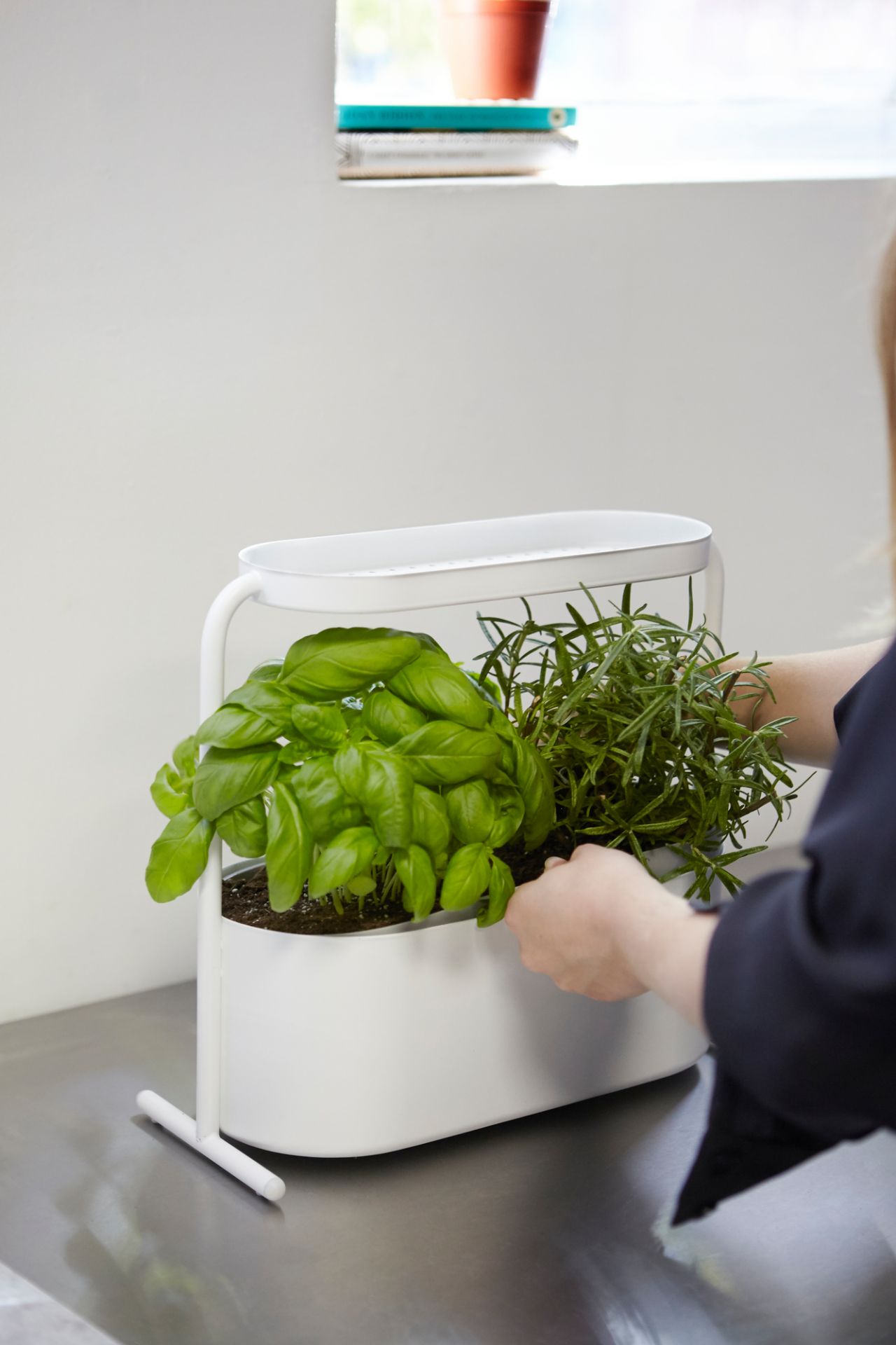 Giardino Herbal pot Umbra SINGLE PIECES