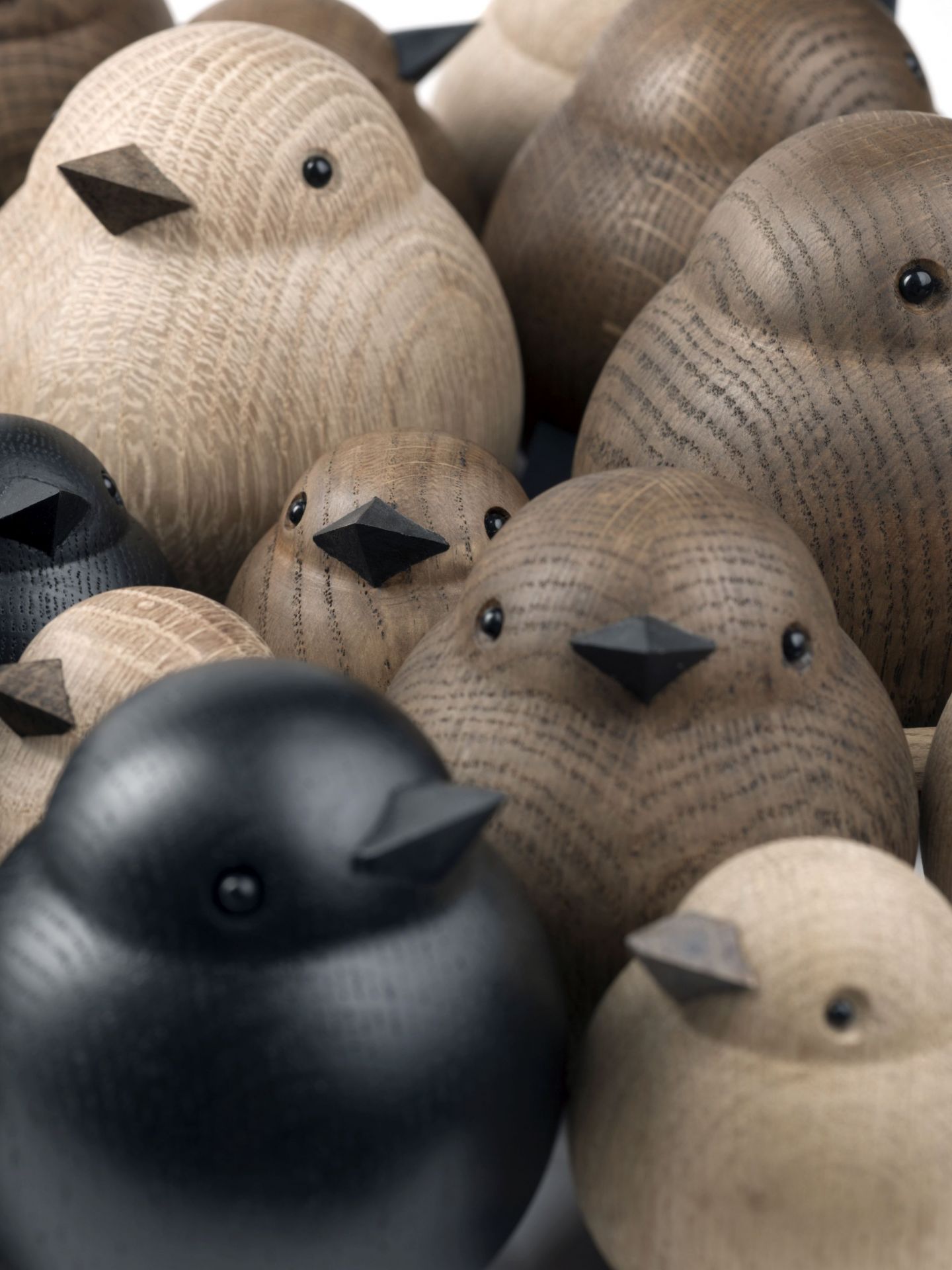 Sparrow oak black novoform SINGLE PIECES