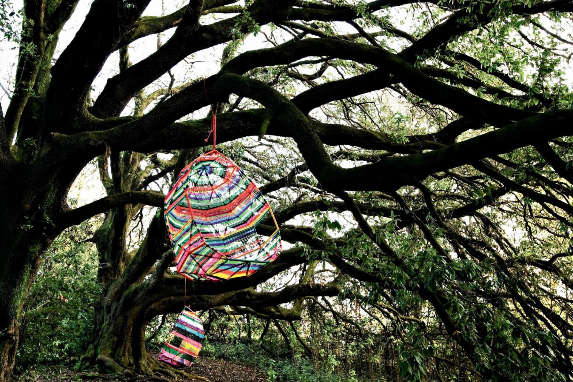 Tropicalia Cocoon swinging nest Moroso