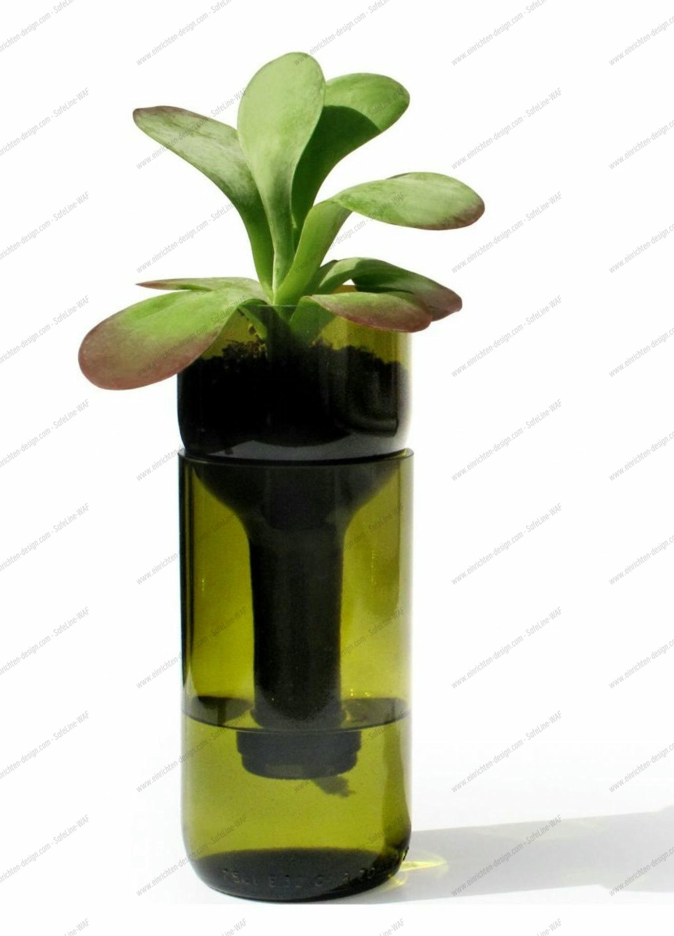 Self Watering Bottle Side by Side white SINGLE PIECES