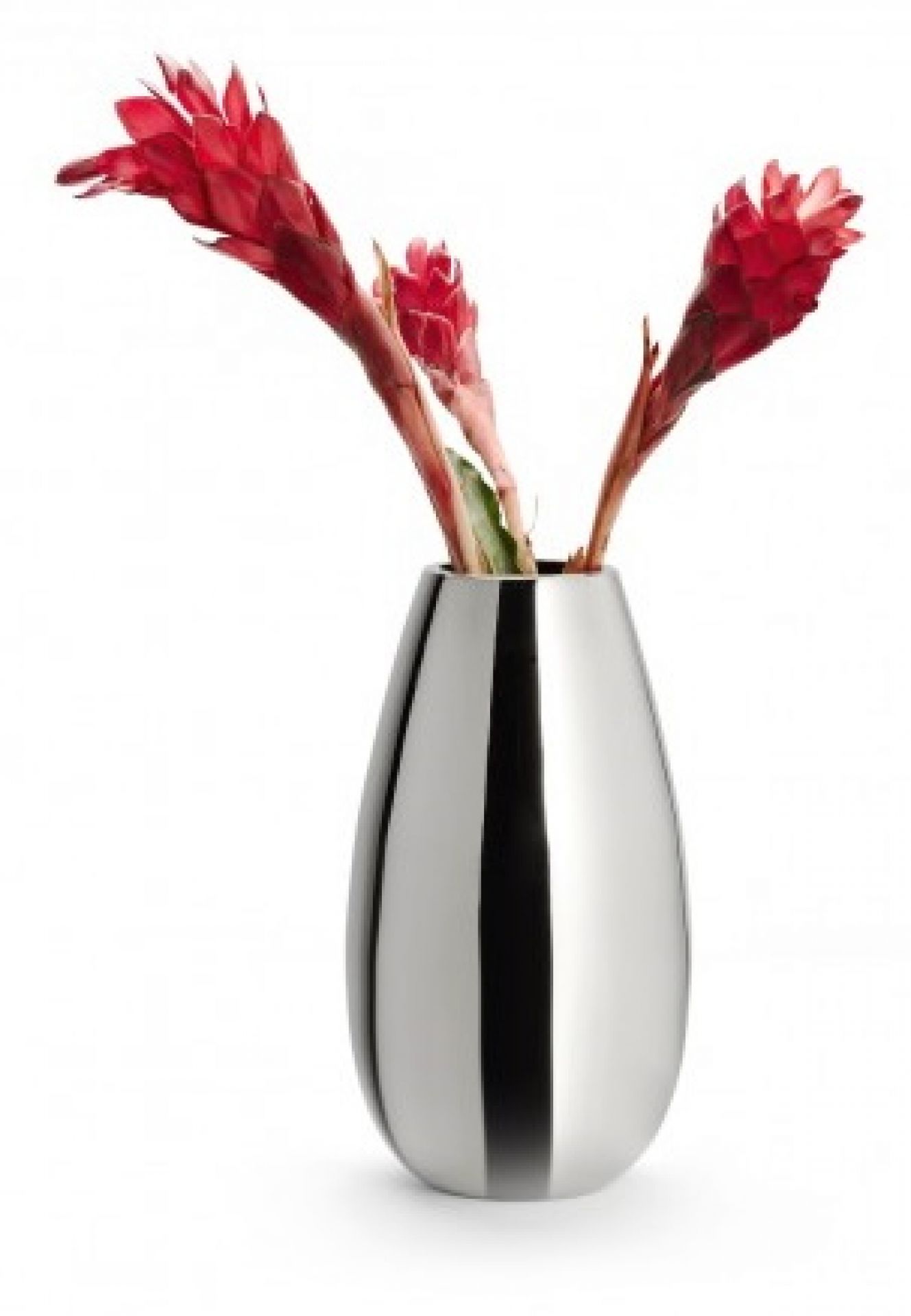 Anais Vase L Philippi SINGLE PIECES