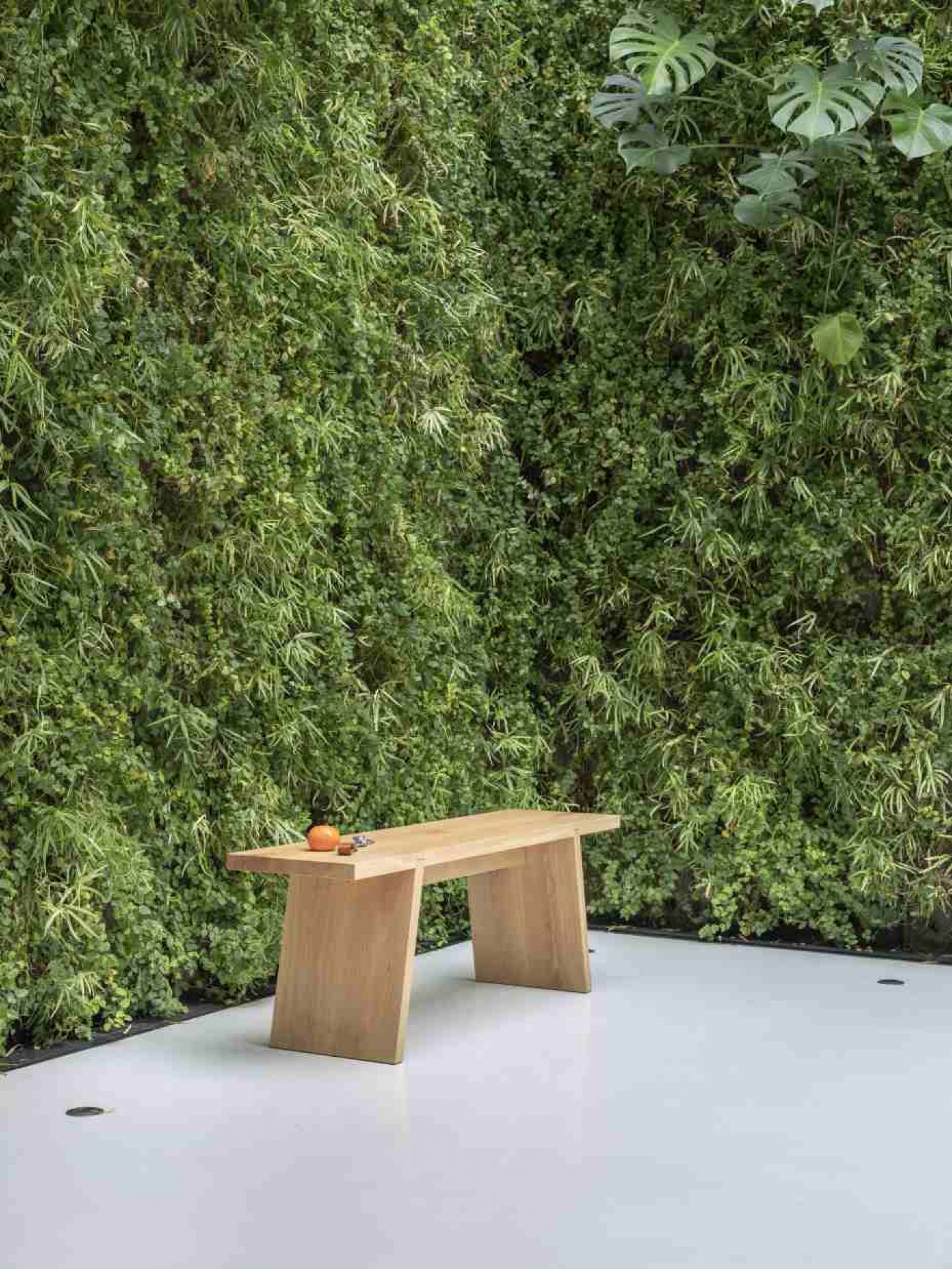 Dovetail Bench Functionals