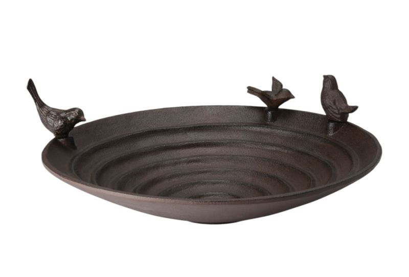 Pool bird bath Philippi