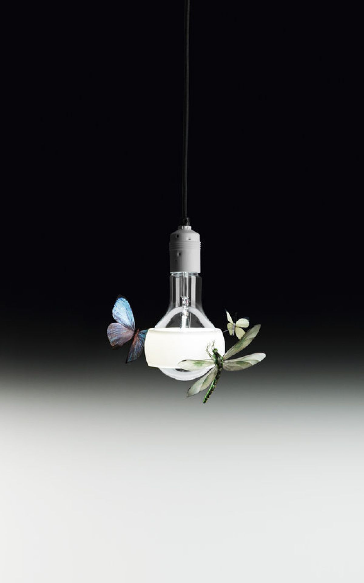Johnny B. Butterfly Suspension Ingo Maurer