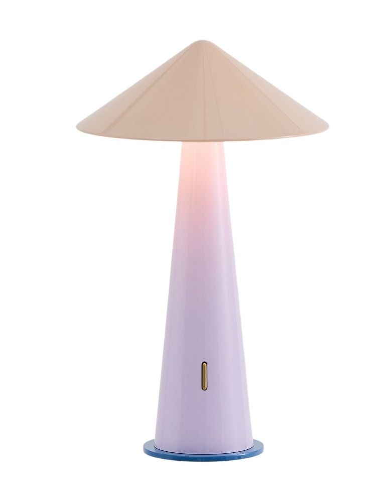 Tipsy Portable Lamp Rechargeable Lamp / Table Lamp house of home