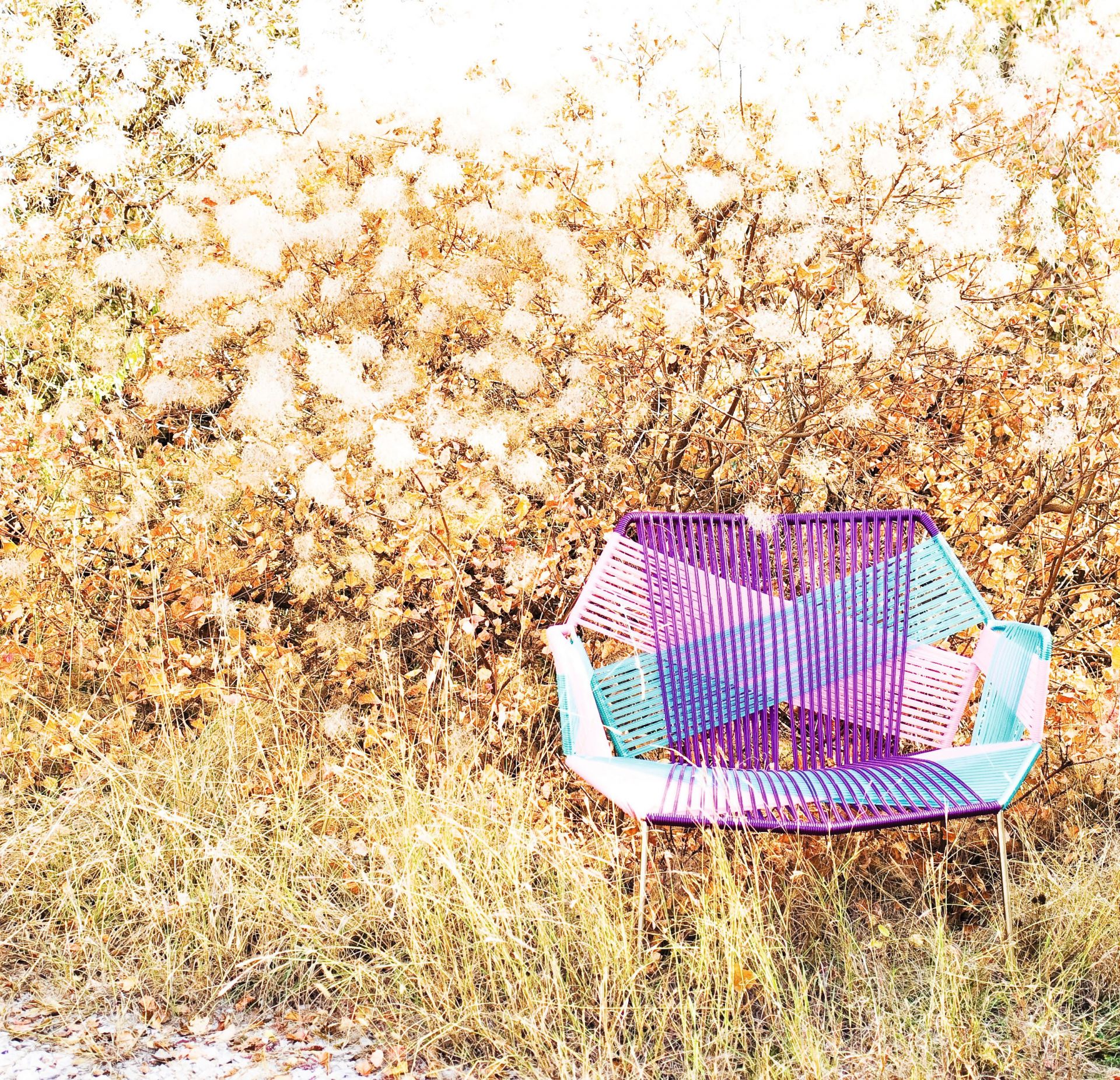 Tropicalia armchair wide polymer Moroso
