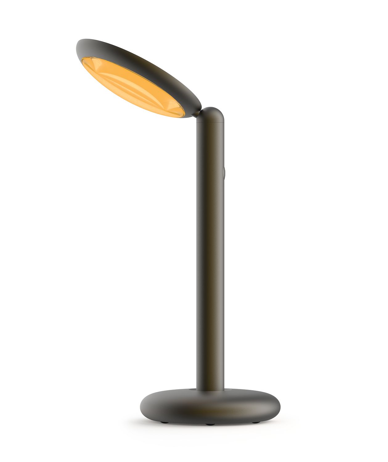 Parrot Table lamp Table lamp Grey