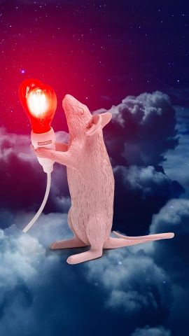 Mouse Lamp Step Love Edition USB Table Lamp Seletti
