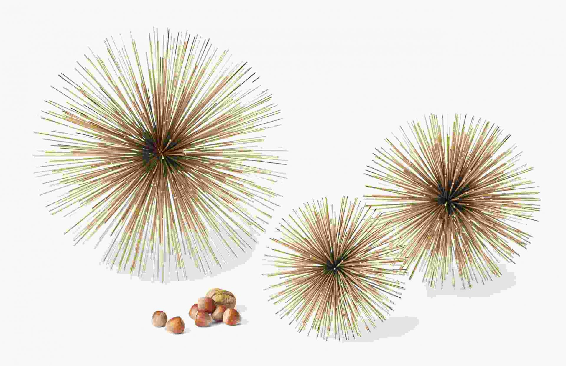 Riccio decorative star M Philippi 