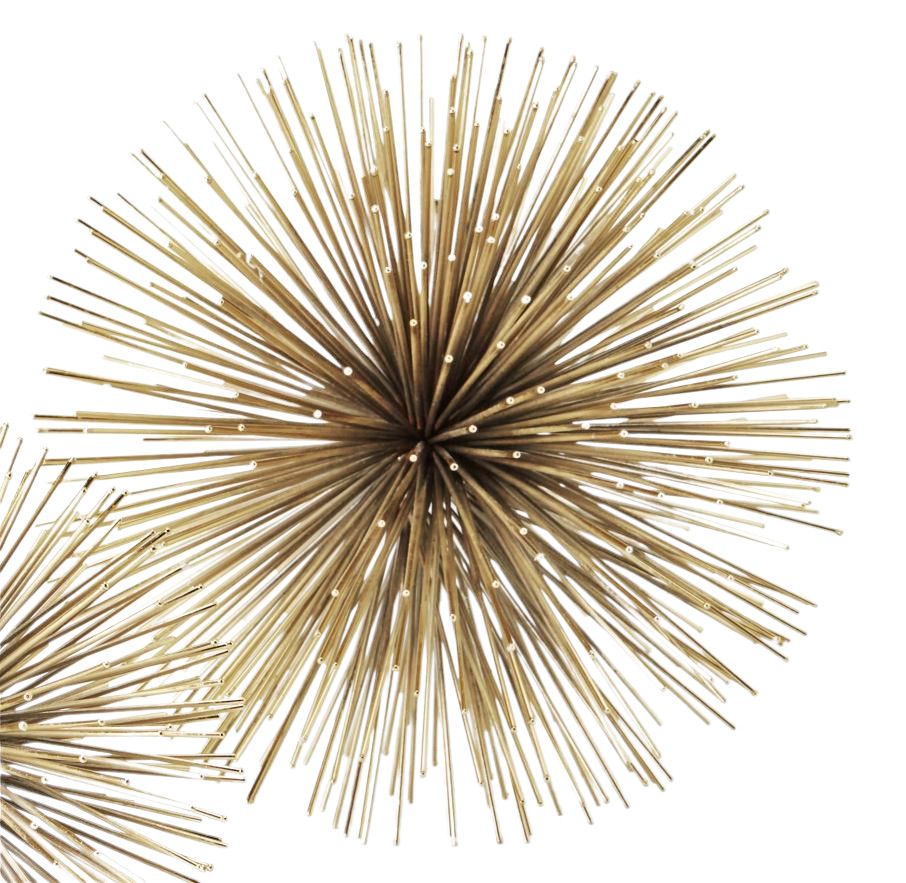 Riccio decorative star M Philippi 