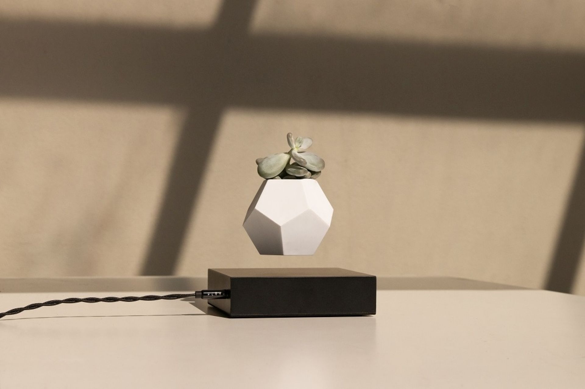 Lyfe floating Vase Klein & More Maple black SINGLE PIECES