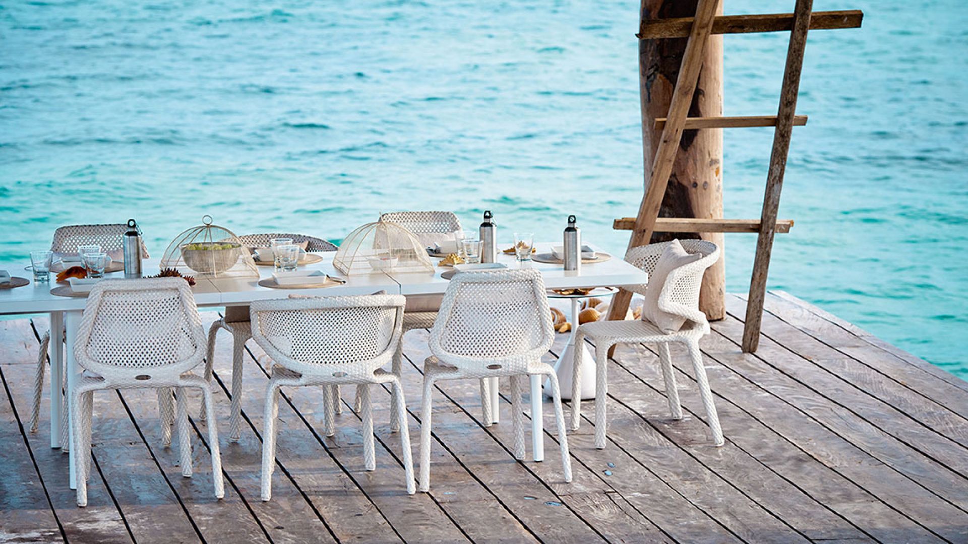 Seashell Armchair chalk Dedon