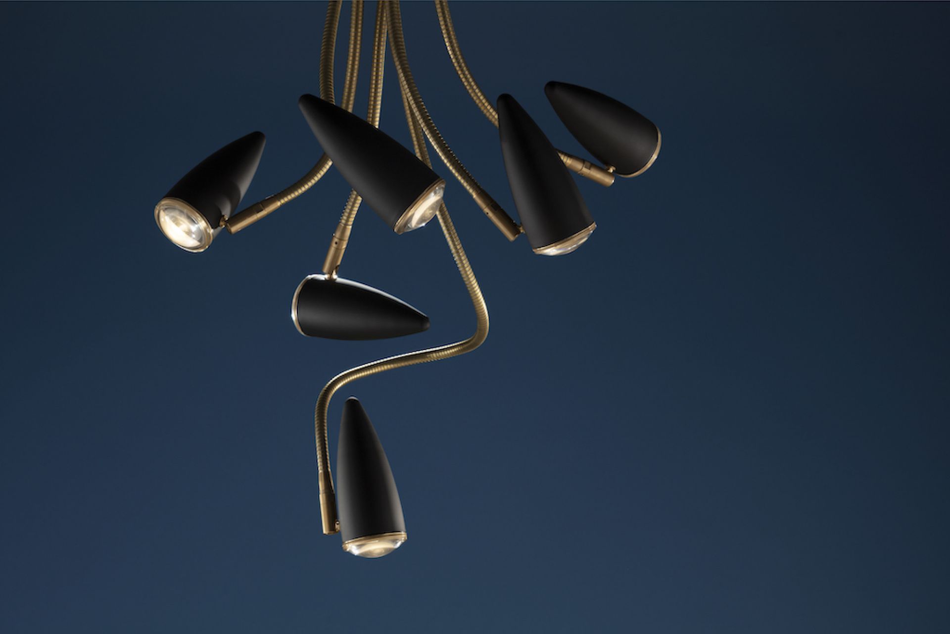 CicloItalia Flex C6 Ceiling Lamp Catellani & Smith