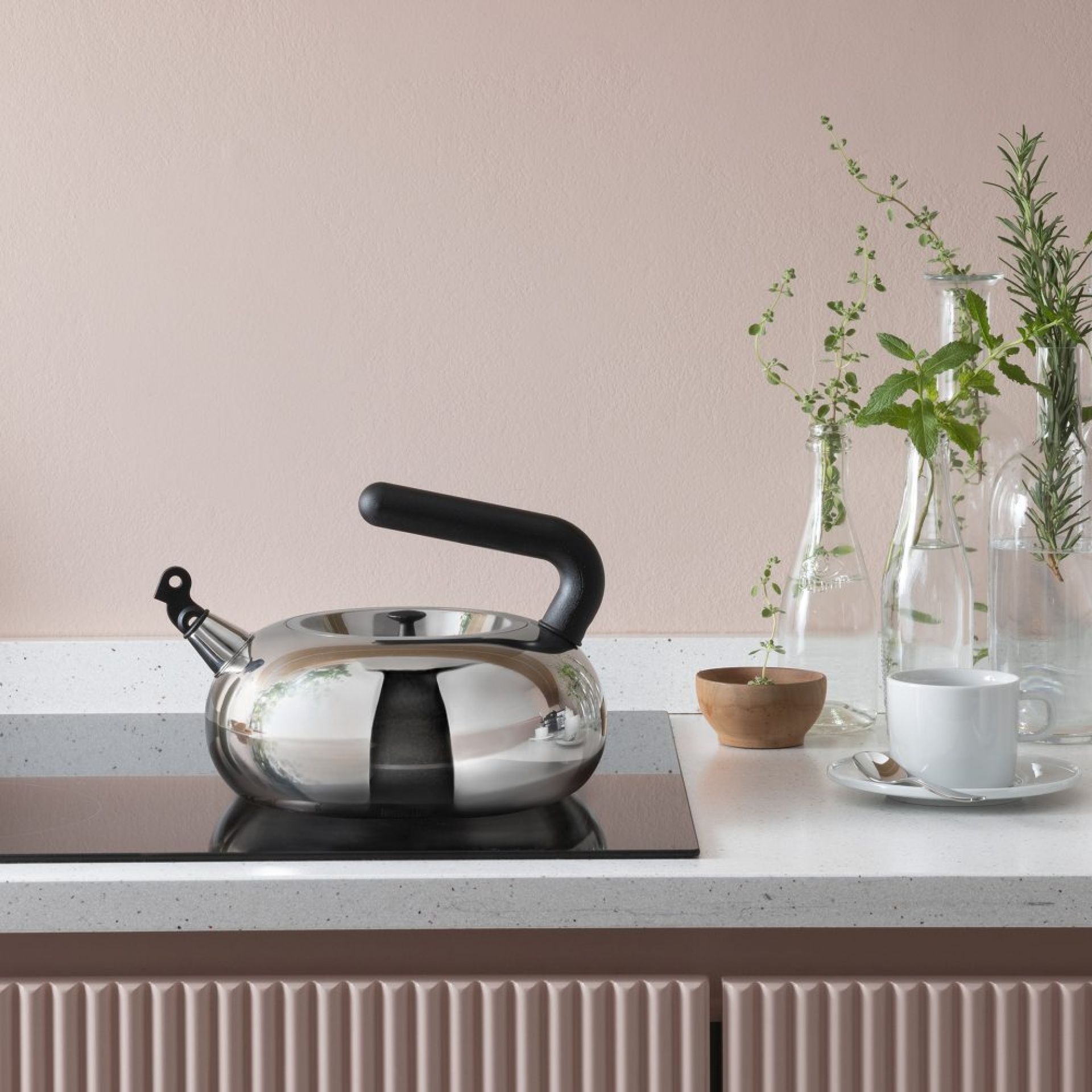 Irony Bulbul Kettle AC100 Alessi LIMITED EDITION