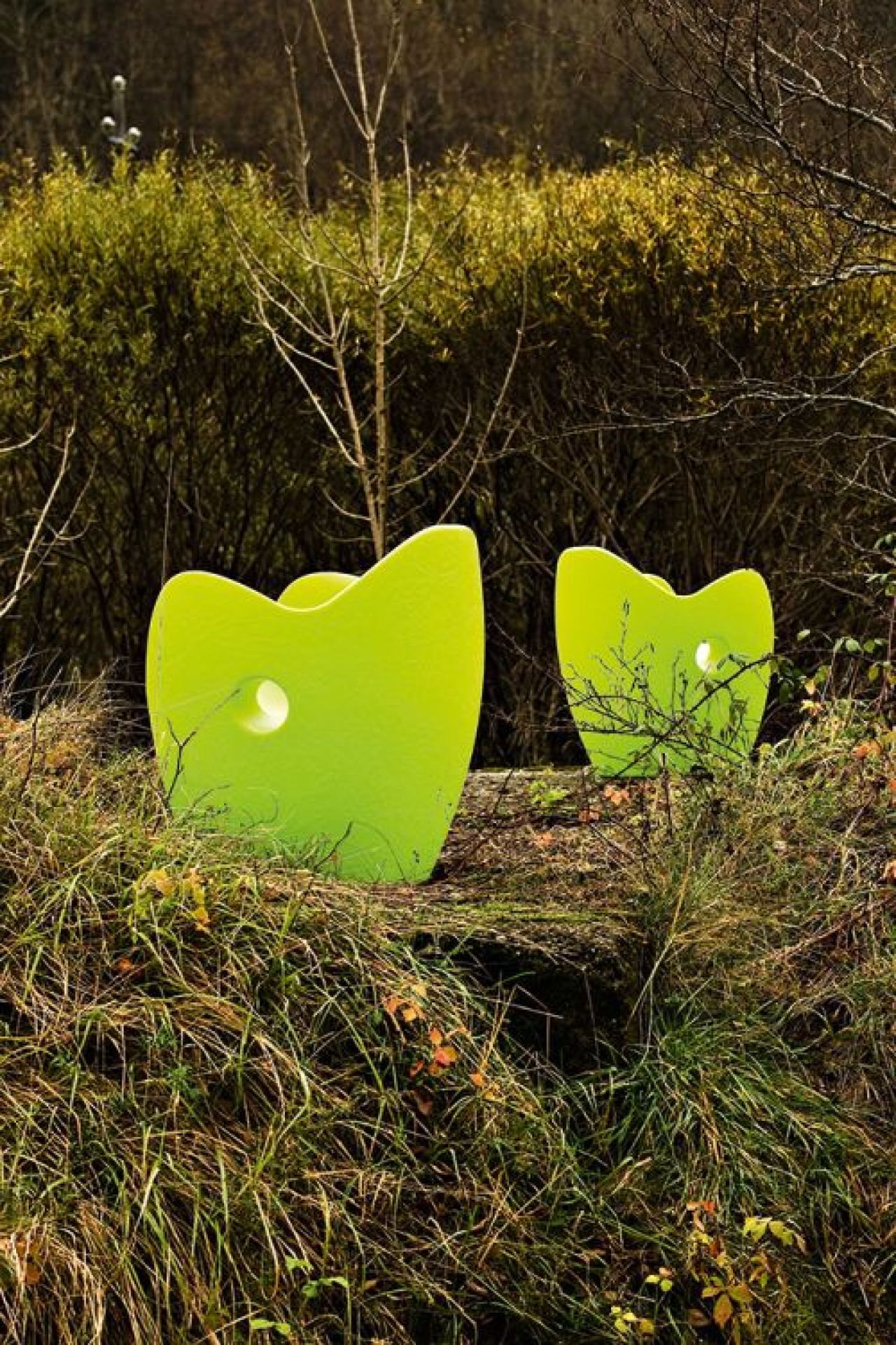 O-Nest Armchair cedrus Moroso