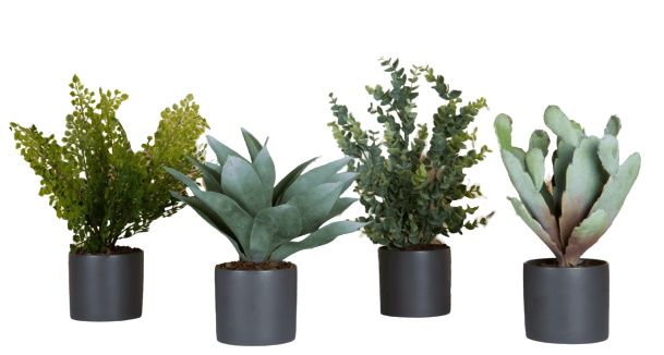 Phoenix Succulent Cylindrical Pots Set of 4 Grey (Bottle Pots) Artificial Plant Tanaman   