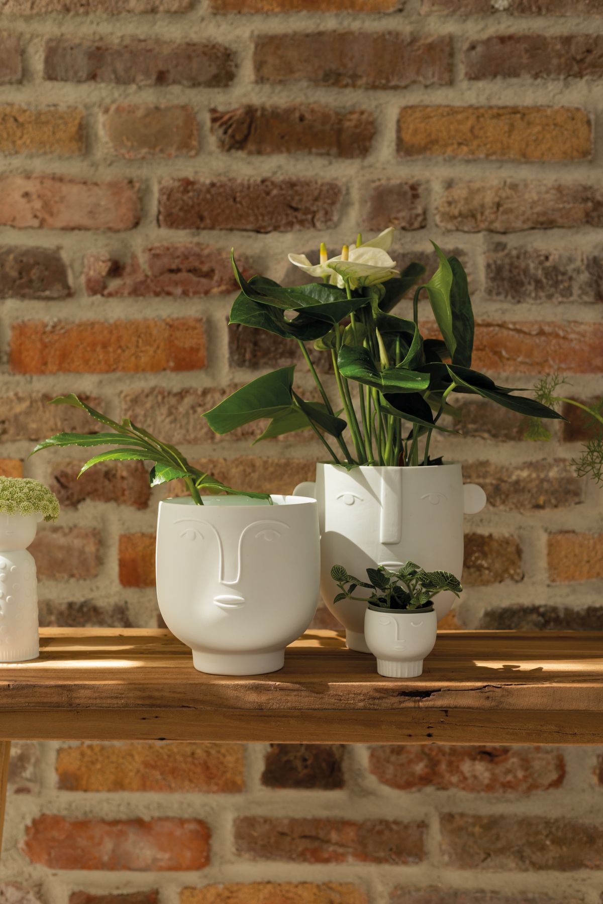 Naturgestalten planter Floris wheels
