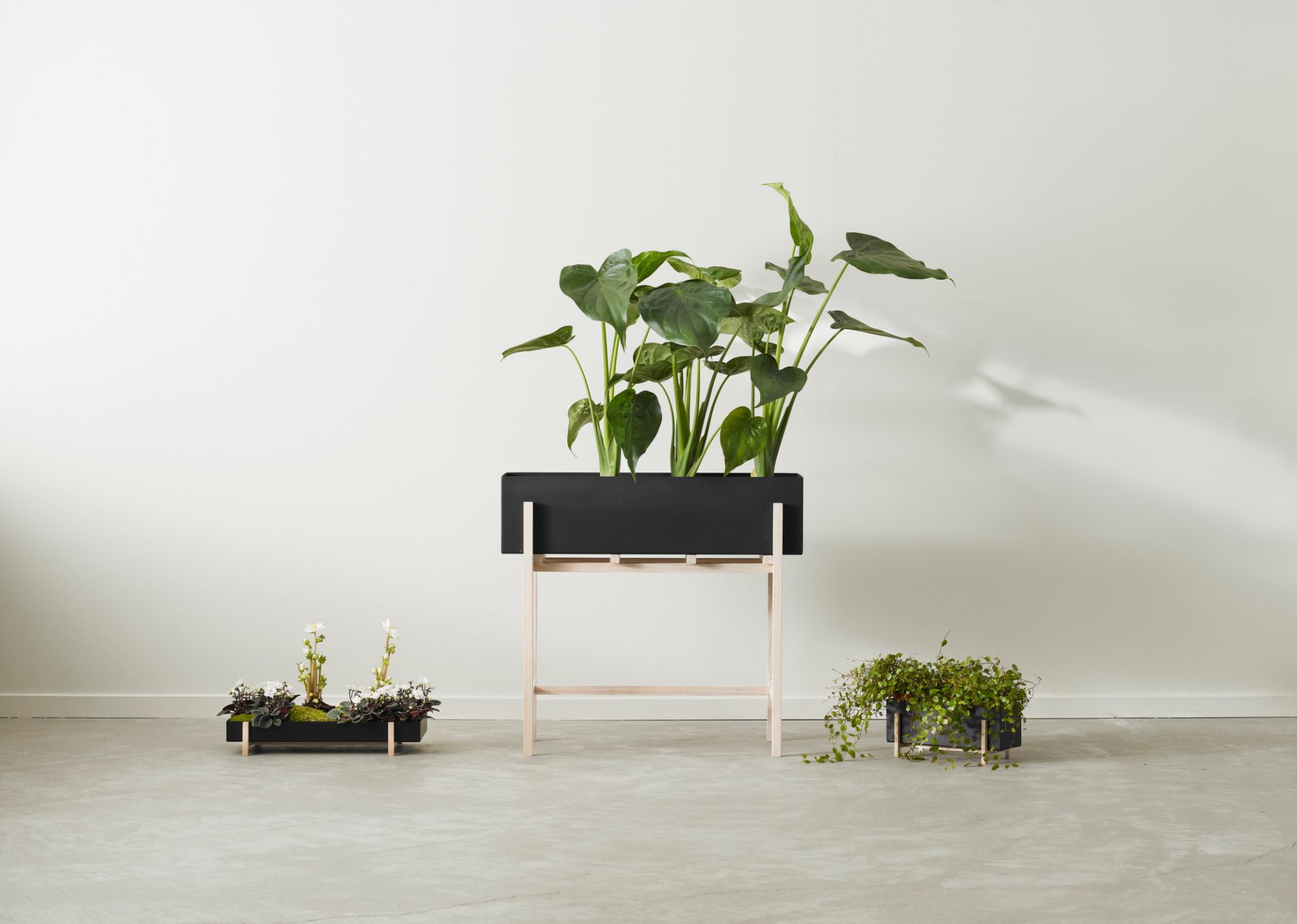 Botanic herb box Design House Stockholm SINGLE PIECES