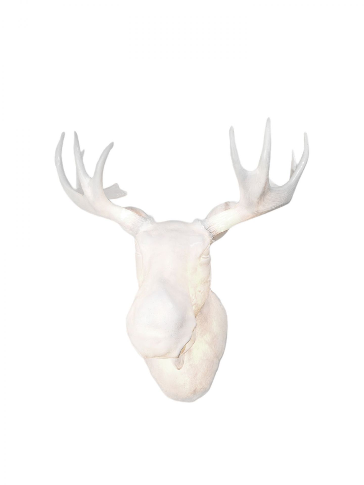 Moo wall light Northern