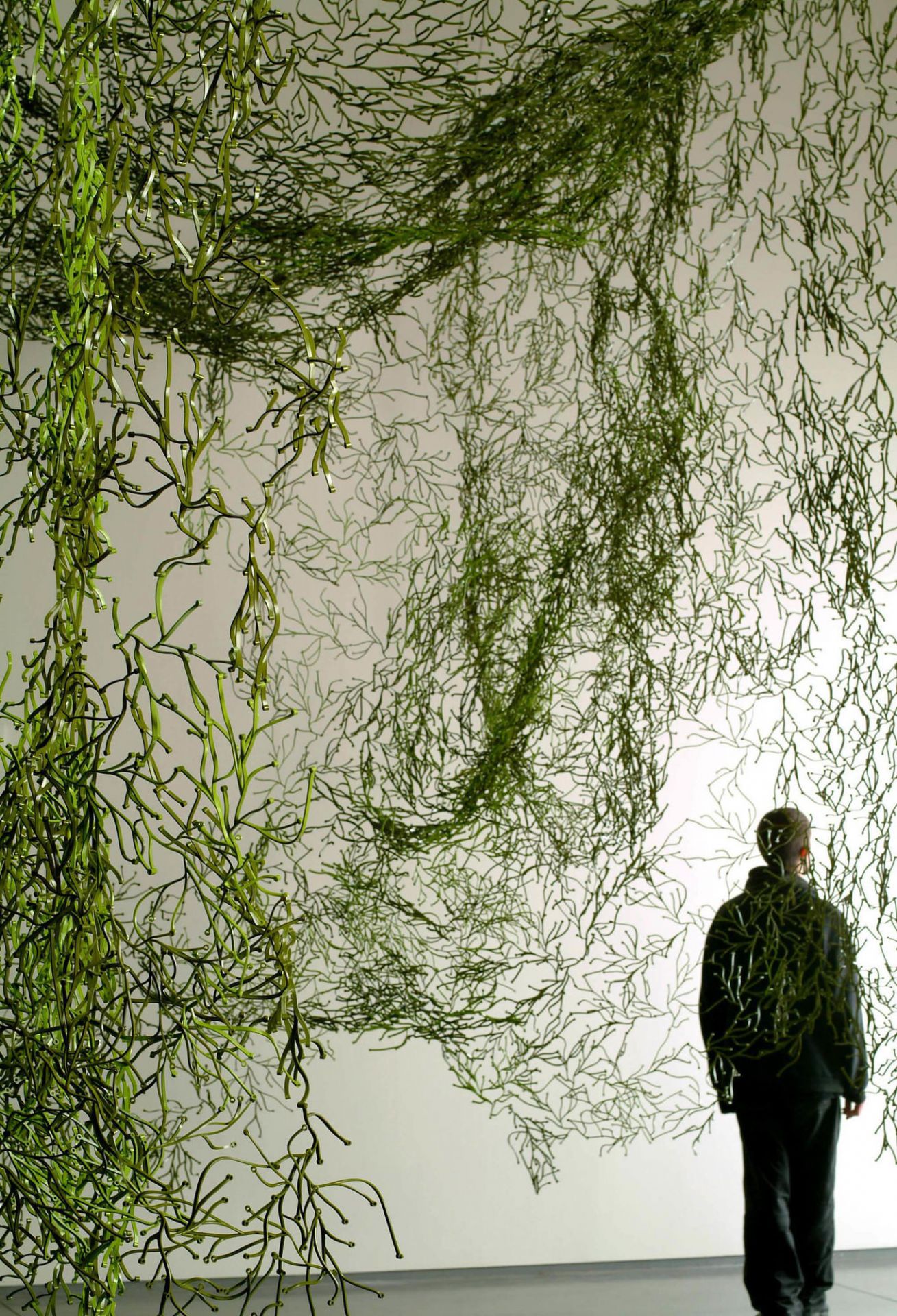 Algue Partition /Algae decorative elements Vitra