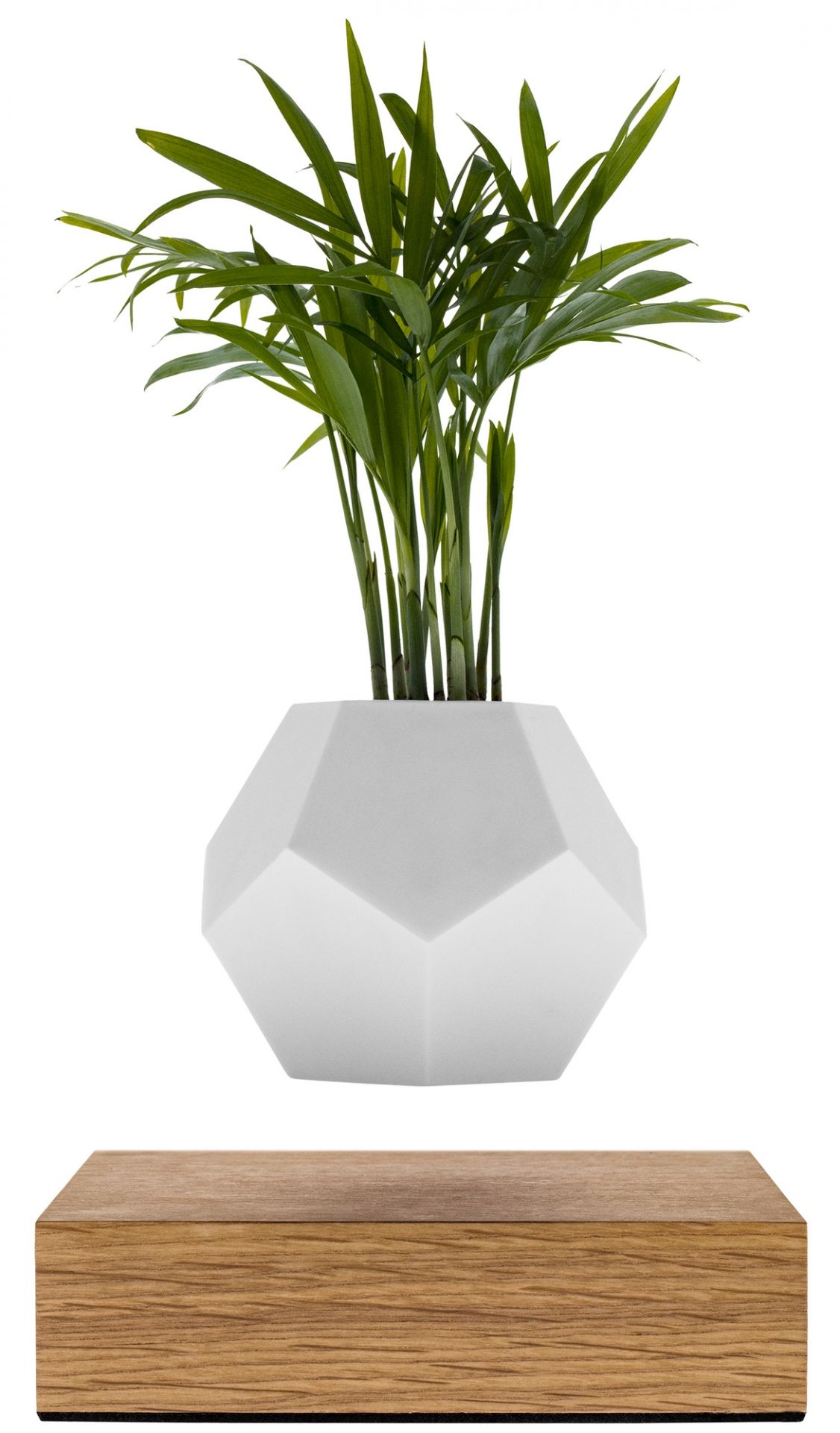 Lyfe floating vase Klein & More SINGLE PIECES
