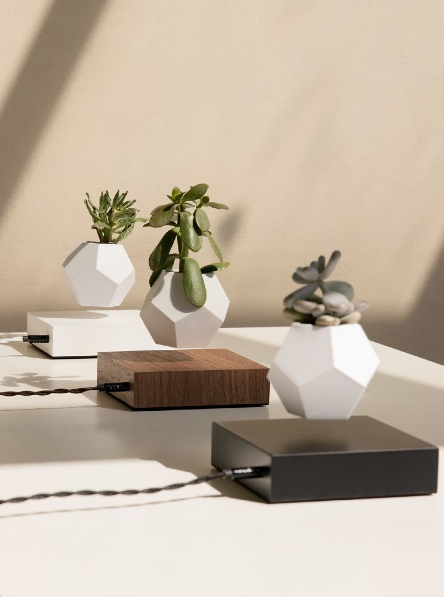 Lyfe floating Vase Klein & More Maple black SINGLE PIECES